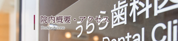 デンタルエステ