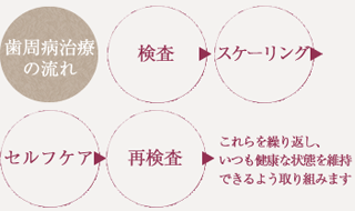 歯周病治療の流れ
