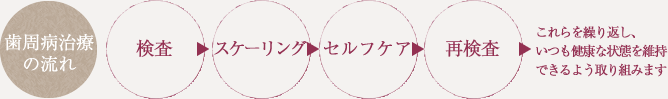 歯周病治療の流れ
